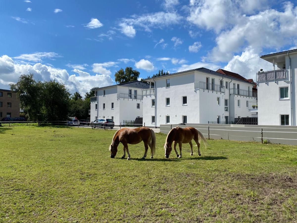 Schöner wohnen im Herzen Oldenburgs Exterior foto